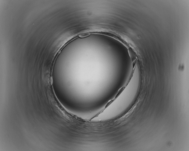 X0000091371177200708171538