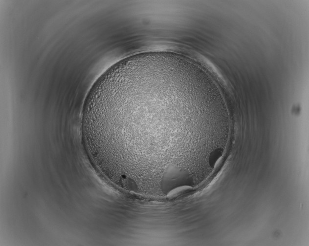 X0000091371178200708171538