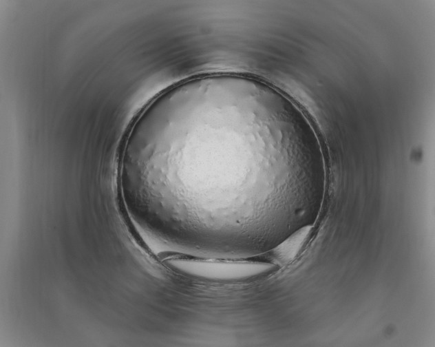 X0000091371179200708171538