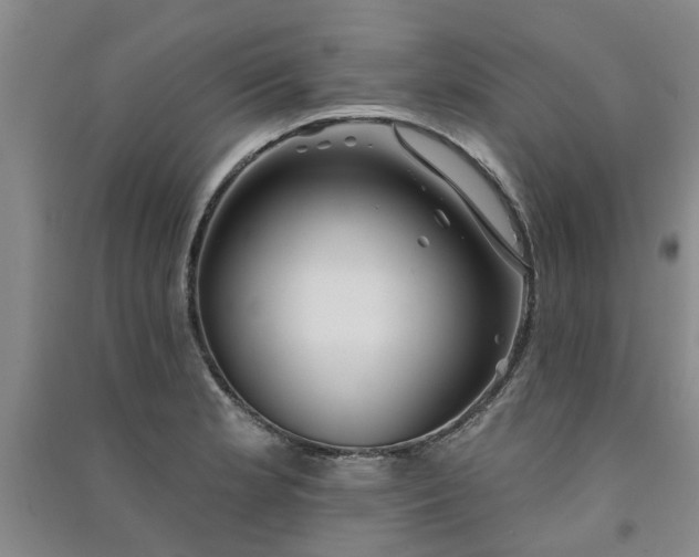 X0000091371181200708171538