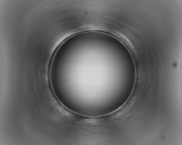 X0000091371182200708171538