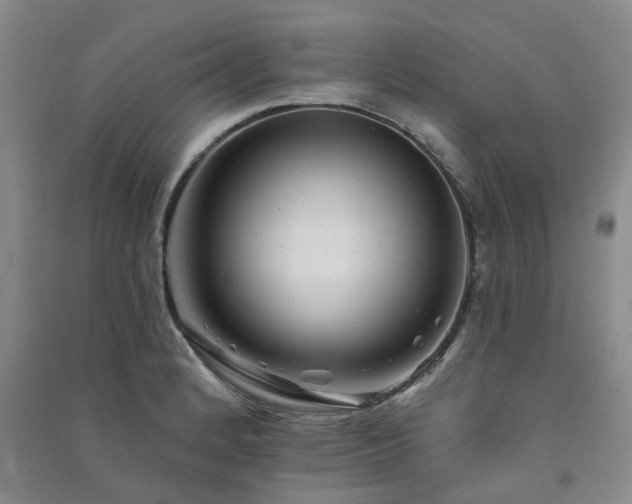 X0000091371184200708171538