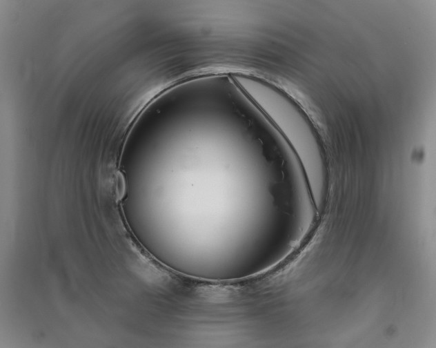 X0000091371185200708171538