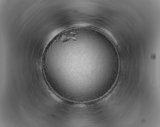 X0000091371186200708171538