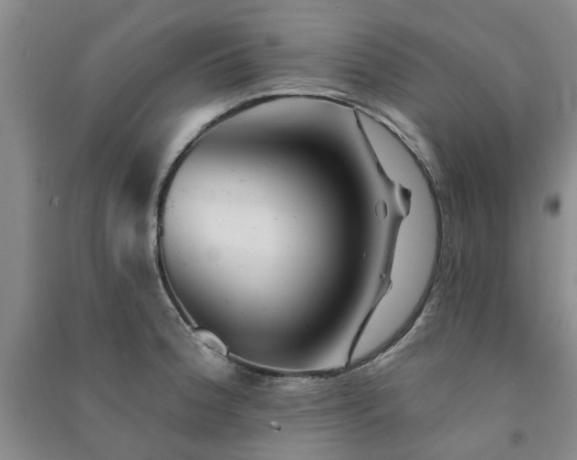 X0000091371188200708171538