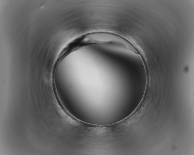 X0000091371189200708171538