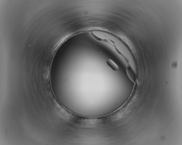 X0000091371193200708171538