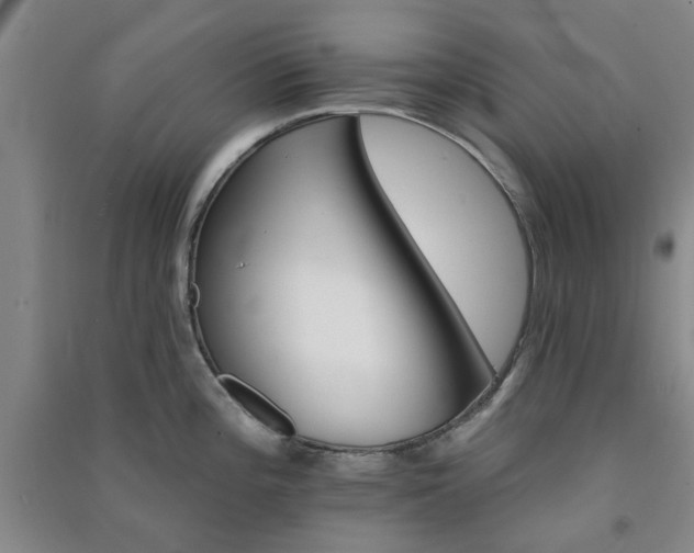 X0000091371196200708171538