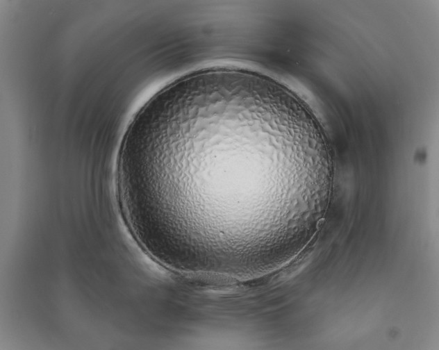 X0000091371199200708171538