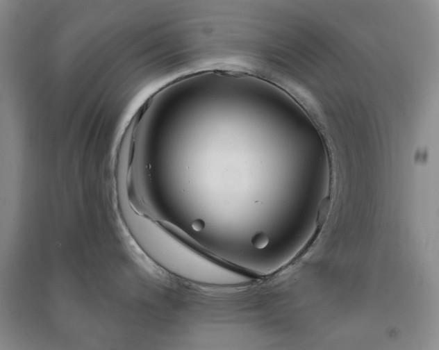 X0000091371200200708171538