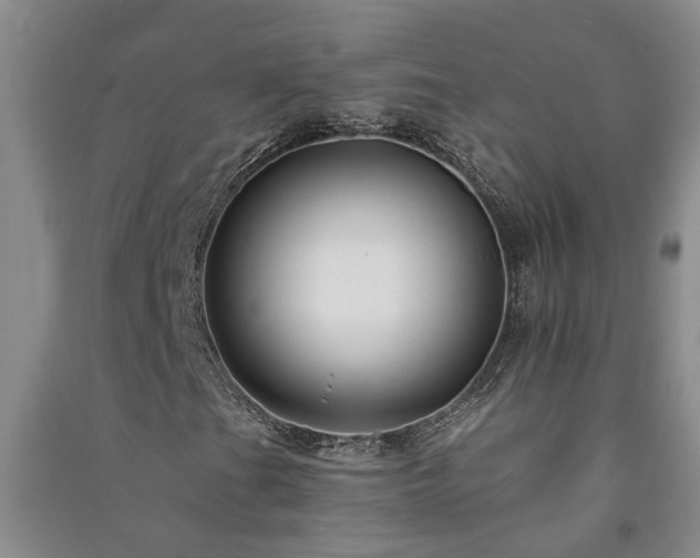 X0000091371201200708171537