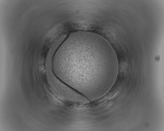 X0000091371202200708171537