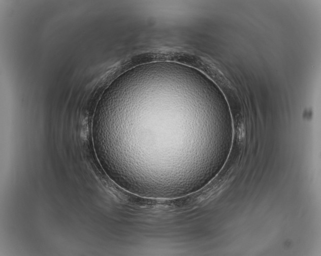 X0000091371204200708171537