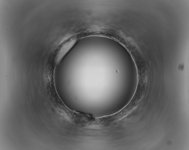 X0000091371206200708171537