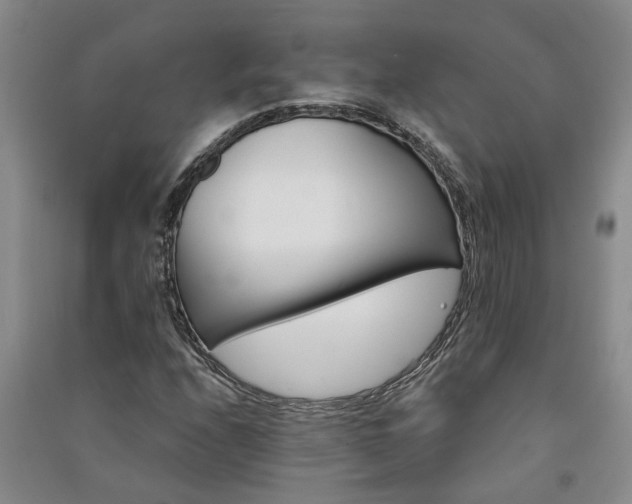 X0000091371208200708171537