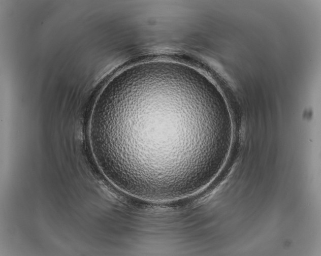 X0000091371209200708171537