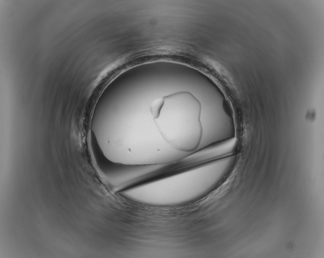 X0000091371210200708171537