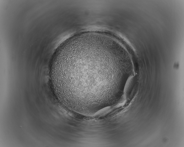 X0000091371213200708171537