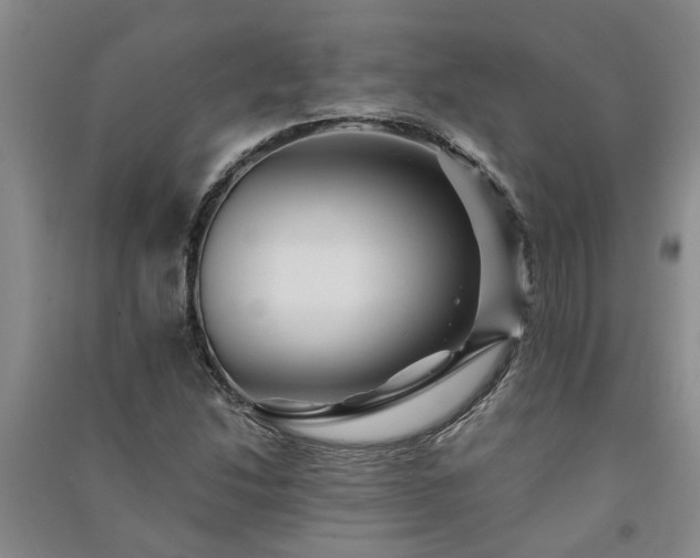 X0000091371214200708171537