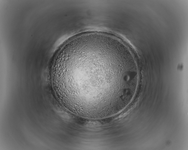 X0000091371215200708171537