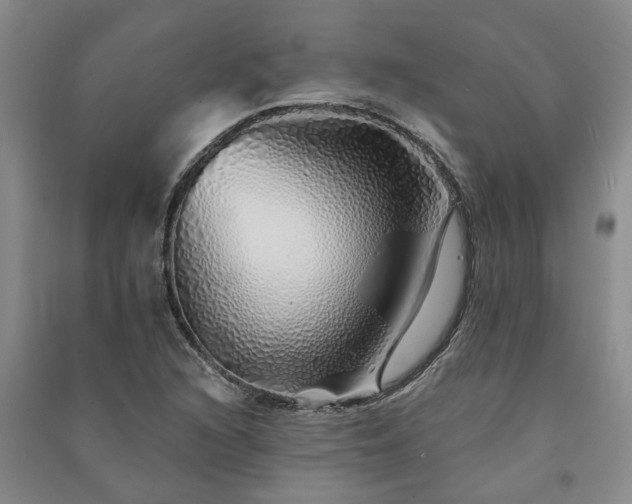 X0000091371216200708171538