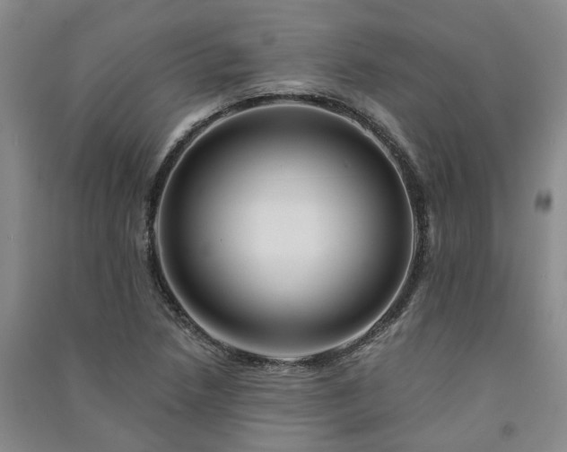 X0000091371218200708171538