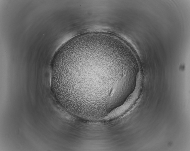 X0000091371219200708171538