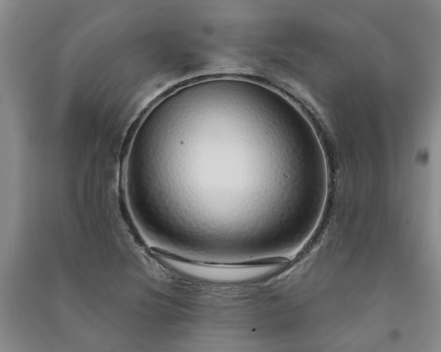 X0000091371220200708171538