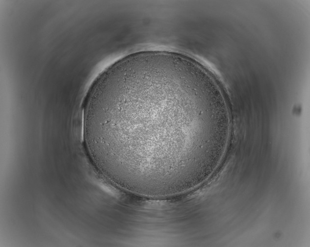 X0000091371223200708171538