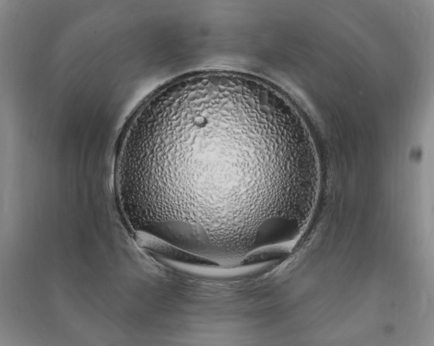 X0000091371224200708171538