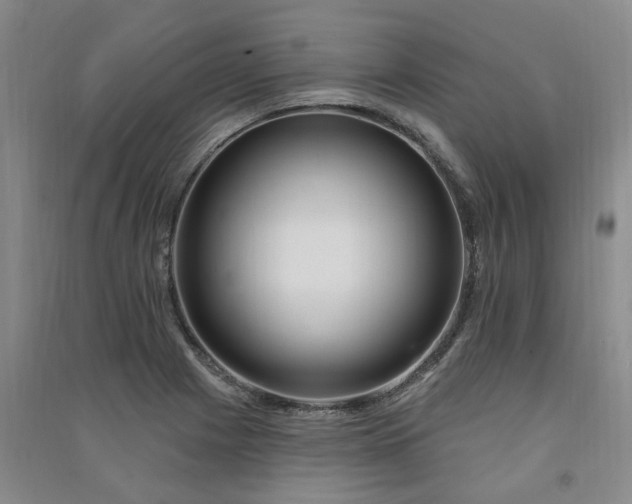 X0000091371225200708171538