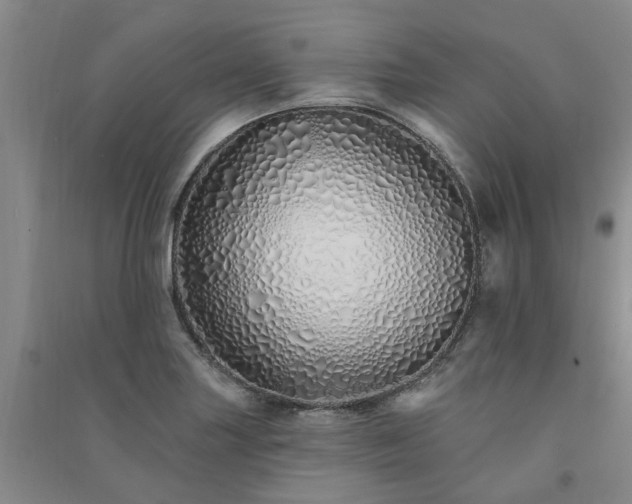 X0000091371227200708171538