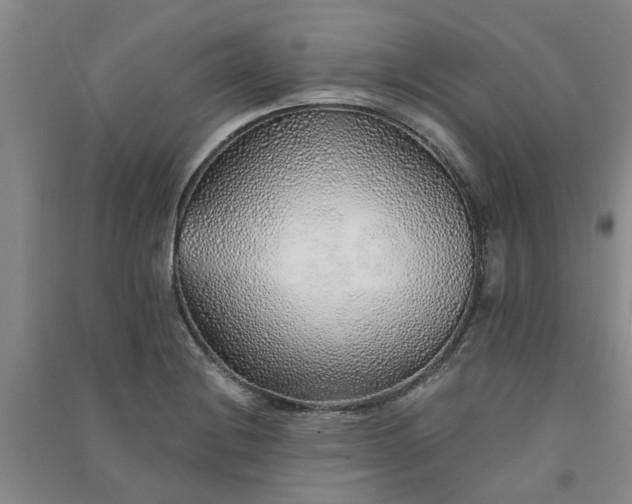 X0000091371228200708171538