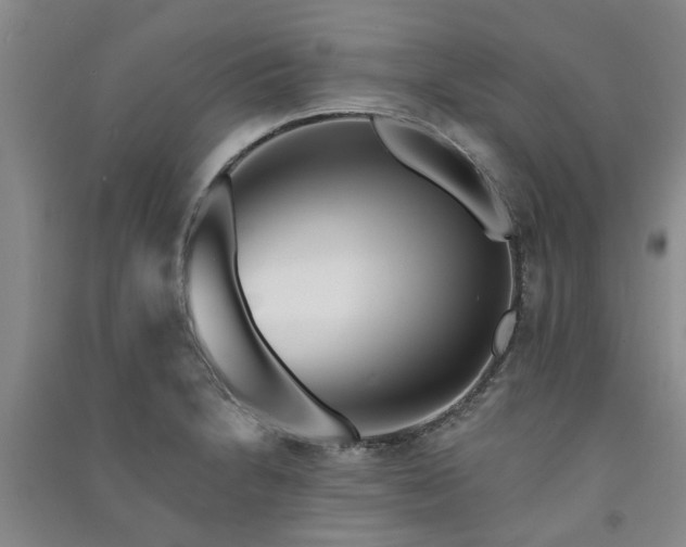 X0000091371230200708171538