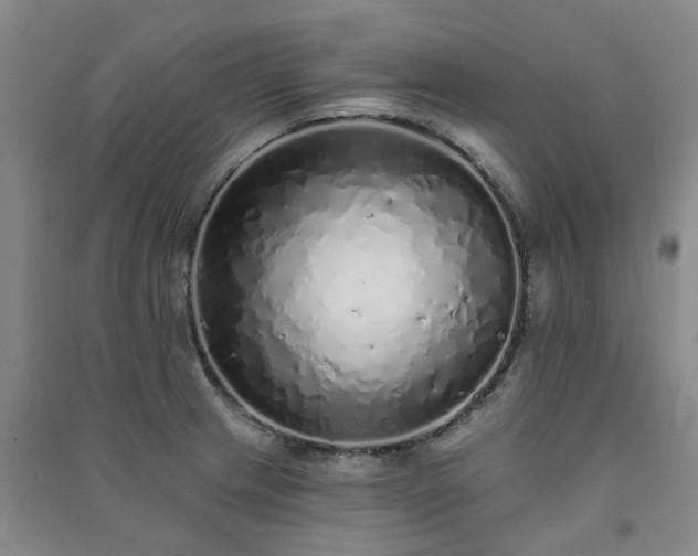 X0000091371233200708171538