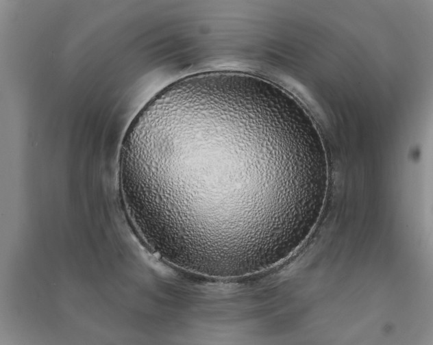 X0000091371236200708171538