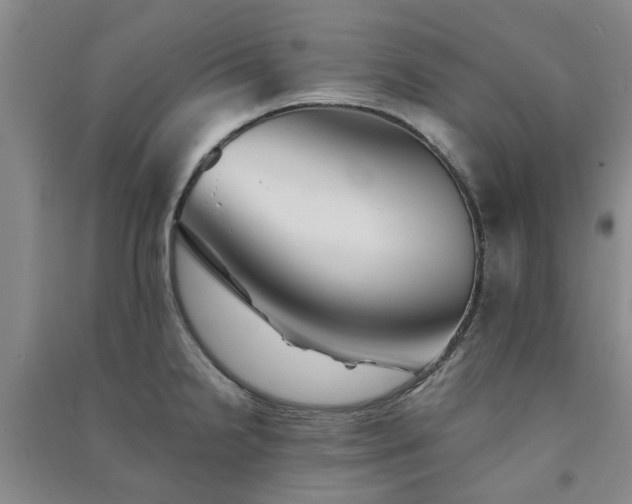 X0000091371238200708171538