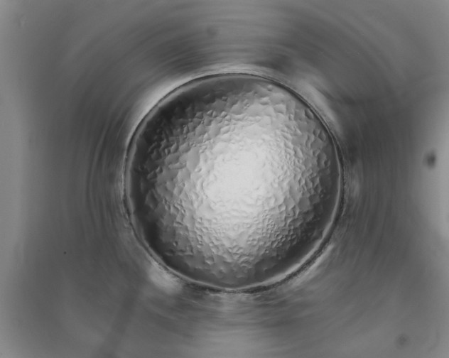 X0000091371244200708171538