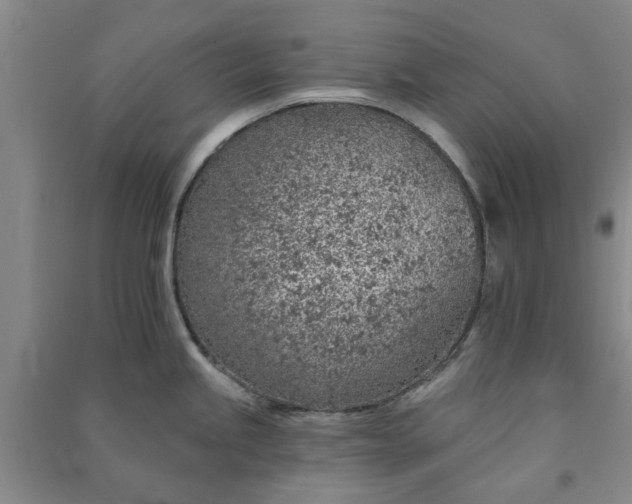 X0000091371245200708171538