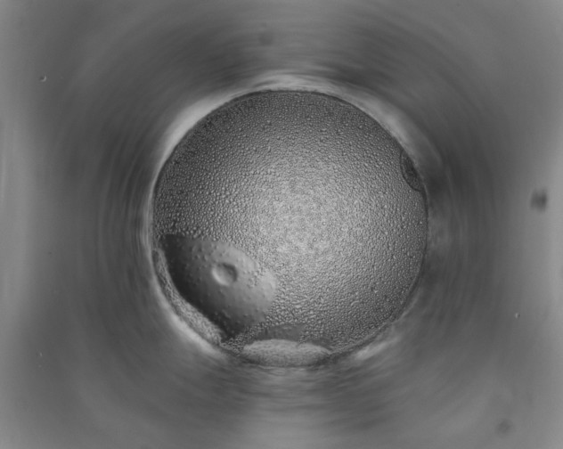 X0000091371247200708171538