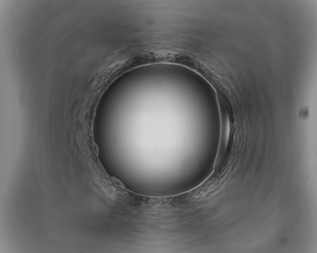 X0000091371249200708171537