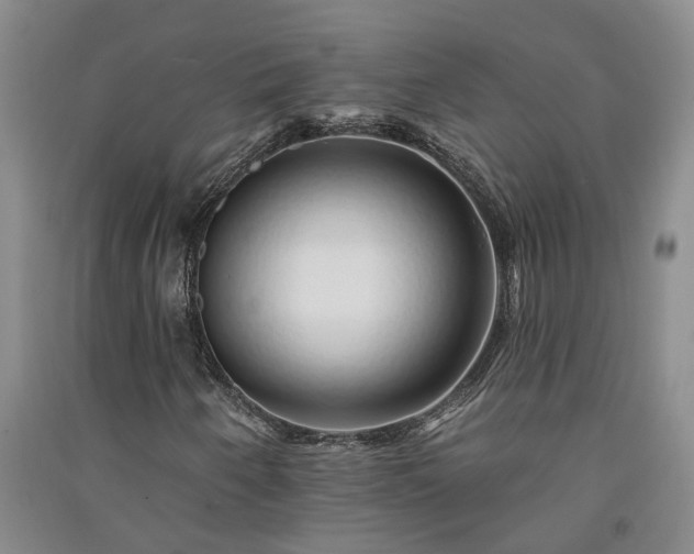 X0000091371250200708171537