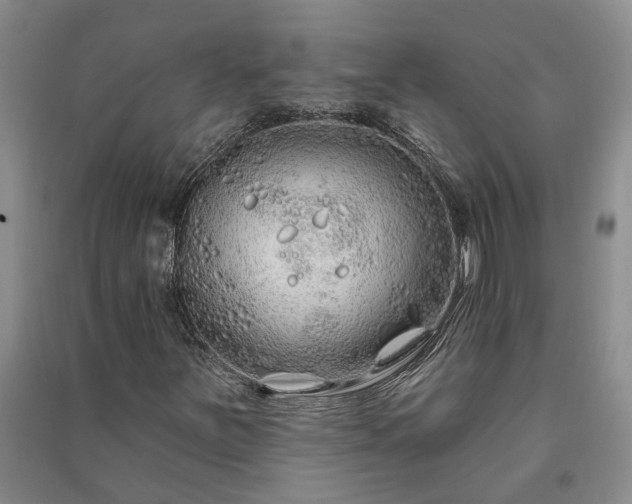 X0000091371251200708171537