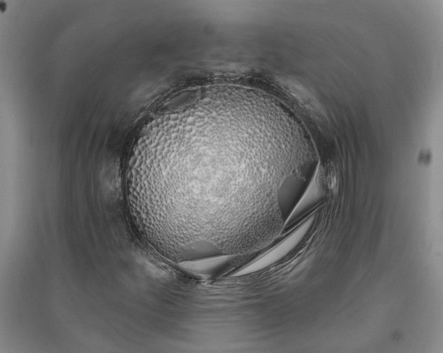 X0000091371252200708171537