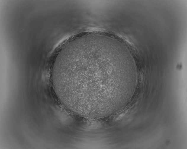 X0000091371254200708171537