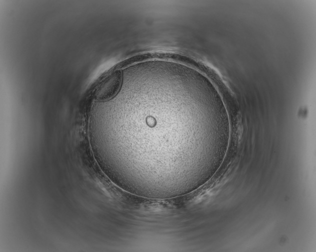 X0000091371255200708171537