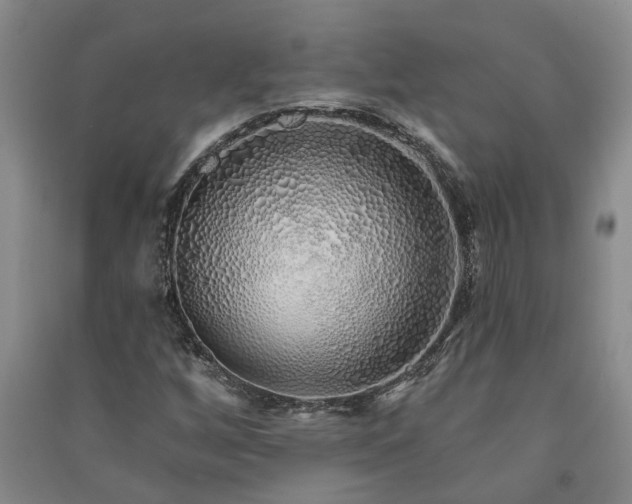 X0000091371256200708171537