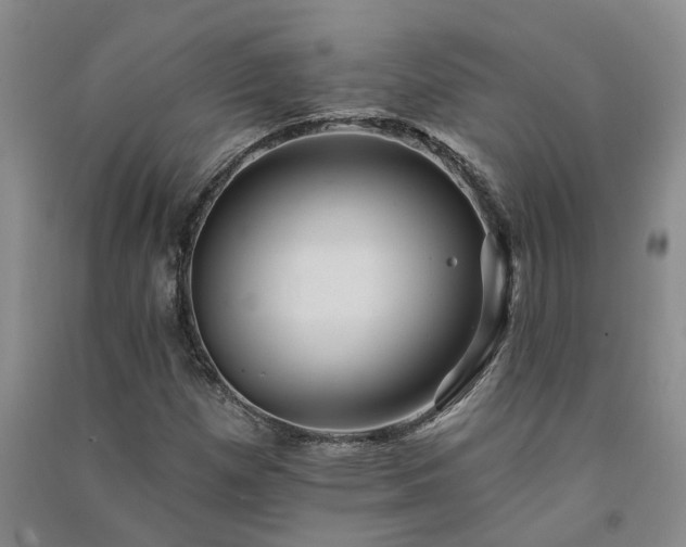 X0000091371257200708171537