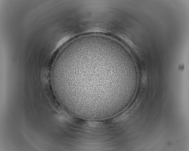 X0000091371258200708171537