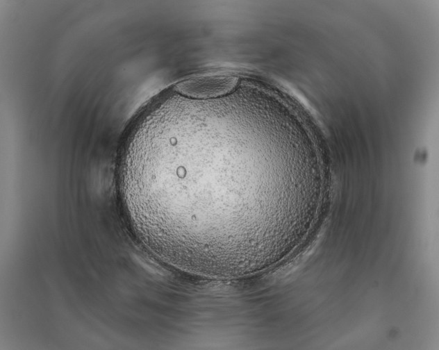 X0000091371259200708171537